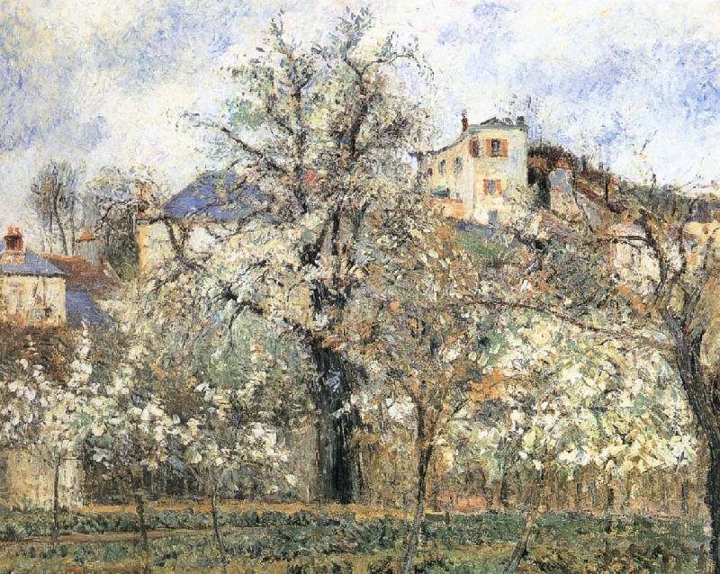 Camille Pissarro Pang plans spring Schwarz China oil painting art
